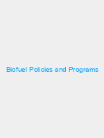 Biofuel Policies and Programs